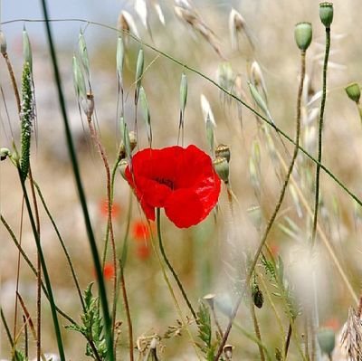 sahu___sumit's profile picture. a lifelong learner , aspirants