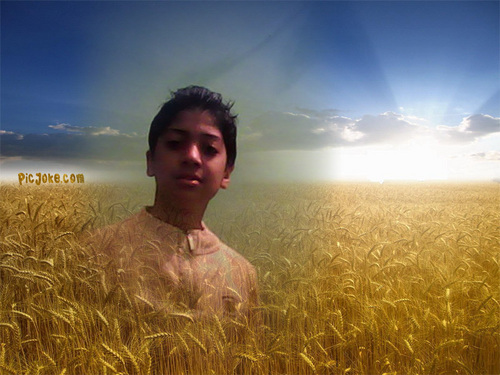 ahmed_alloza's profile picture. المشير لازم يرحل هوه ولحرميه                  خربو البلد لازم يرح لازم يرحل