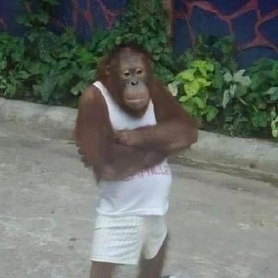 mo112009's profile picture. 