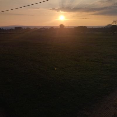 molokgobi's profile picture. I am shining