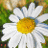 corygyj's profile image