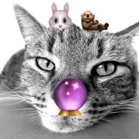 𝓚.꙳🎀💫🩵 🇯🇵🐰🦦🏳️🌈🔮🐒🐱 (@k_l_t_g) 's Twitter Profile Photo 𝓚.꙳🎀💫🩵 🇯🇵🐰🦦🏳️🌈🔮🐒🐱 (@k_l_t_g) 's Twitter Profile Photo