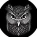 Intel Night OWL 🦉🇺🇸 𝕏 (@IntelNightOWL) Twitter profile photo