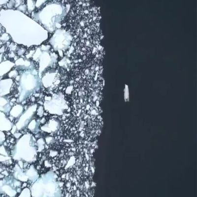 FabregasRF's profile picture. Iluso dependiente.