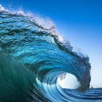 Check Waves (@emartsport71579) 's Twitter Profile Photo Check Waves (@emartsport71579) 's Twitter Profile Photo