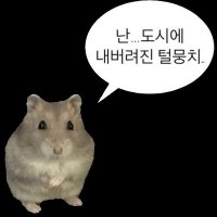 도시에 내버려진 털뭉치 (@imteolmungchi) 's Twitter Profile