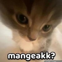 ben (@autumnnfate) 's Twitter Profile