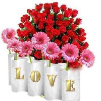 فحل مقيم في الخرج (@ivzsfggraw19ux4) 's Twitter Profile