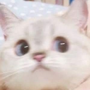 qufwwl_23's profile picture. 그냥 다 먹음