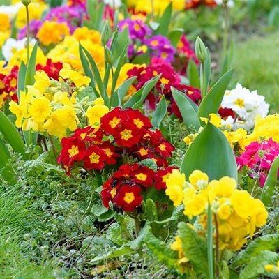 itslau_08's profile picture. La cosa divertente di noi è proprio che ci prendiamo troppo sul serio.