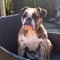 Lee Gayle (@leegayle8) 's Twitter Profile