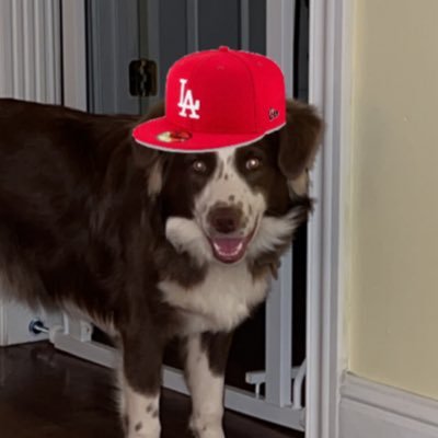 GraceCochran146's profile picture. LMU Softball Alum // Teacher at Elk Valley