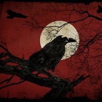 The Reigning Raven 🤘🏽(@ReigningRaven22) 's Twitter Profile Photo