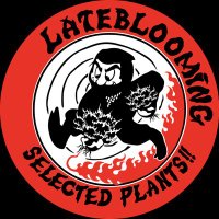 lateblooming (@lateblooming_22) 's Twitter Profile Photo lateblooming (@lateblooming_22) 's Twitter Profile Photo