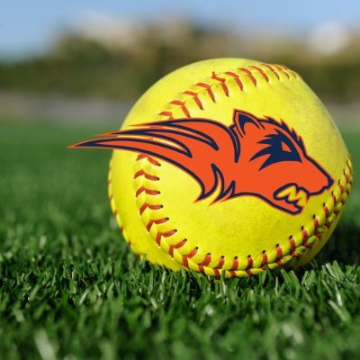 The official page for all things Wakeland Softball. This account is not monitored by Frisco ISD or our school administrator. #W1N I #WinAs1