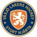 Växjö Lakers (@VLHlive) Twitter profile photo