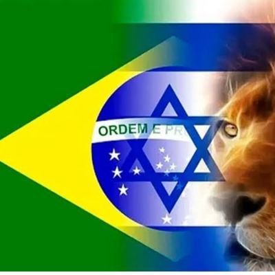 Cristão, casado, pai, patriota, conservador, lutando por um Brasil melhor e pelo verdadeiro conhecimento. Feliz é a nação cujo Deus é o Senhor! Bíblia Sagrada.