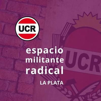 Somos radicales comprometidos con la Democracia ciudadana que no renuncian a sus compromisos y valores históricos