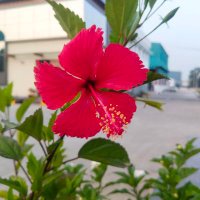 D.K (@devakum61045639) 's Twitter Profile
