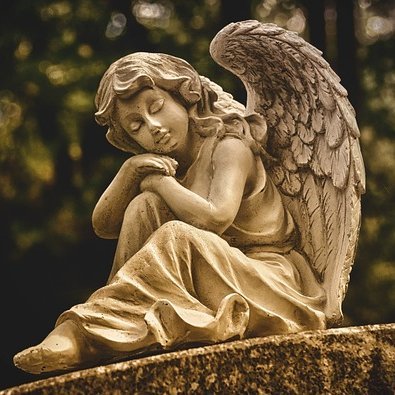 GuardianForKids's profile picture. Transparency, accountability and administrative justice.