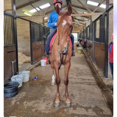 Racehorse owner, now trying my hand at breeding, hopefully one day I’ll get lucky 🍀🤞