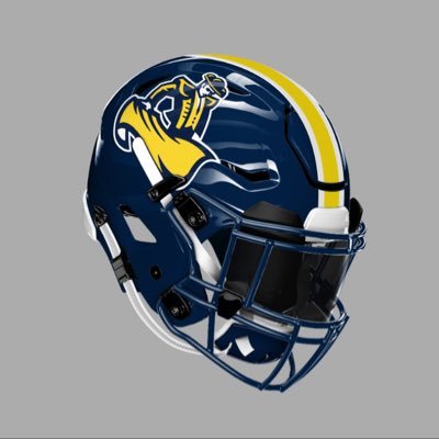 Official Twitter of the Shadow Mountain High School Football program Head Coach @CoachHemming #WeUsOurs