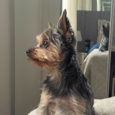 gustavo22058226's profile picture. 