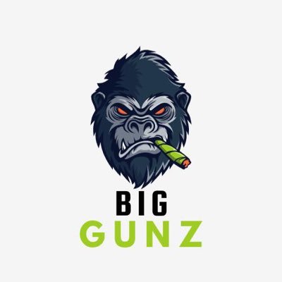 BigGunzFC's profile picture. 