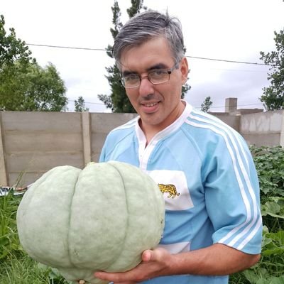 Técnico forestal, estudiante del profesorado en biología, docente