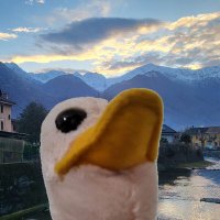 Emanuele (@iperboreo_) 's Twitter Profile Photo Emanuele (@iperboreo_) 's Twitter Profile Photo