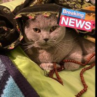 upsss☝🏻🇰🇼 (@nimisistiktss) 's Twitter Profile