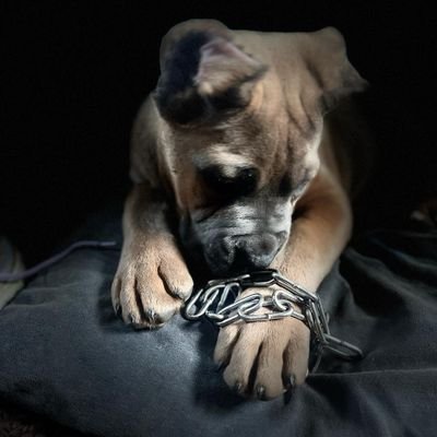 jovanapg's profile picture. 