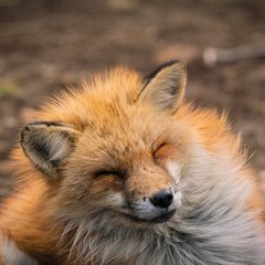 ALPX68's profile picture. Scientist
- Negotiate from a position of strength
- Protect the planet from a position of economic strength
- Don't micromanage entrepreneurs