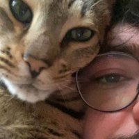 ilovespinosaurus369 is 🆒 (@spinosures369) 's Twitter Profile