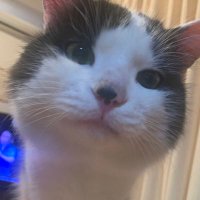 KYØSUKE@ER34 (@samurai_kh5) 's Twitter Profile