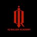 IQ Baller Academy (@iq_baller) Twitter profile photo