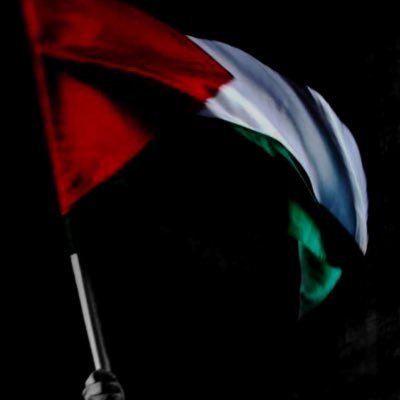 tawfik_akk's profile picture. Invester