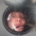 facking giu (@minombreesgiu) Twitter profile photo