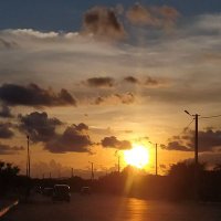 Çalı Gölgesi (@rkusucay) Twitter profile photo