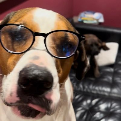 MMananger's profile picture. Just fixin all yer fuck-ups .... or fuckin things up myself...