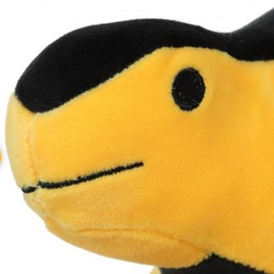 14482_ZA's profile picture. Loading...