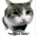 Joseph:v (@i_am_josephjeje) Twitter profile photo Joseph:v (@i_am_josephjeje) Twitter profile photo