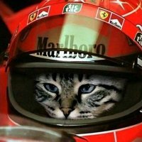 Ácido José (@azidjoe) 's Twitter Profile