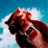 ronopytyky's profile image