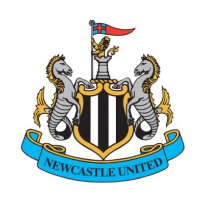 Travelling with my amazing family. Kicking a pigs bladder around, searching tall grass for a small round ball and throwing an oblong ball about! #NUFC 🖤🤍