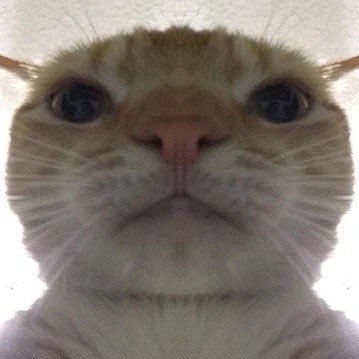 ohsurmsss's profile picture. 