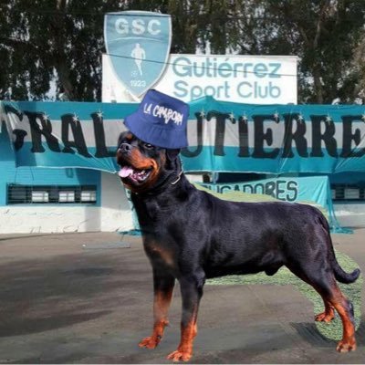 Gutierrino como escabiar en el colorado. Soldado del Bocha Arce