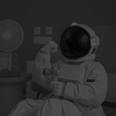 kromsecc's profile picture. گورخ نولور