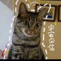 ぶどう糖(@ap198_3966) 's Twitter Profile Photo