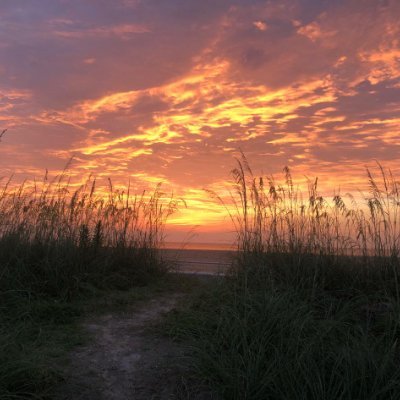 Live in FL, very married, Geneology buff, Gardening, decorating, some politics--45, long scenic drives, the beach, ANIMALS EXCEPT SNAKES. GOD BLESS AMERICA.